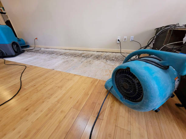 Professional Water Removal technician working in Underwood, IN